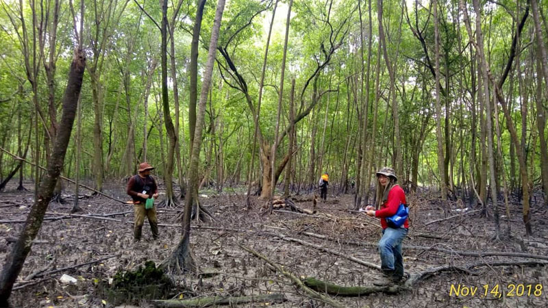 Inventory Works With Renjer Jabatan Hutan Daerah Pantai Klang