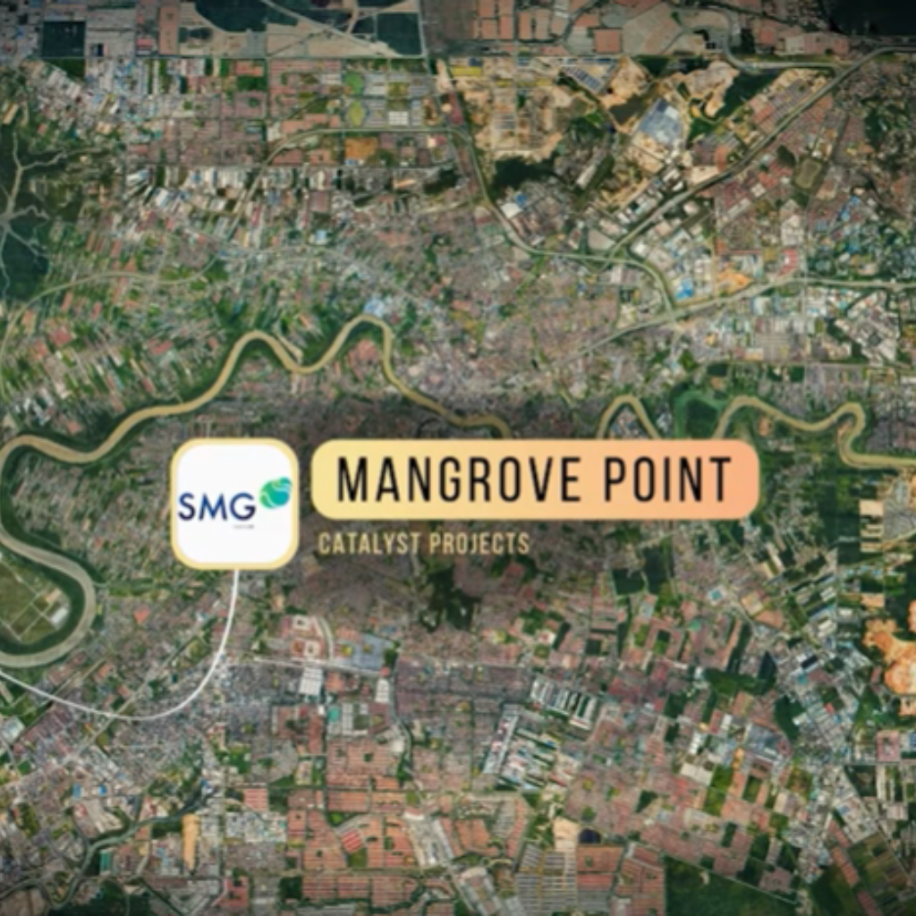 Mangrove Point