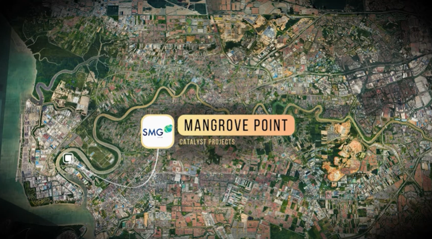 Mangrove Point
