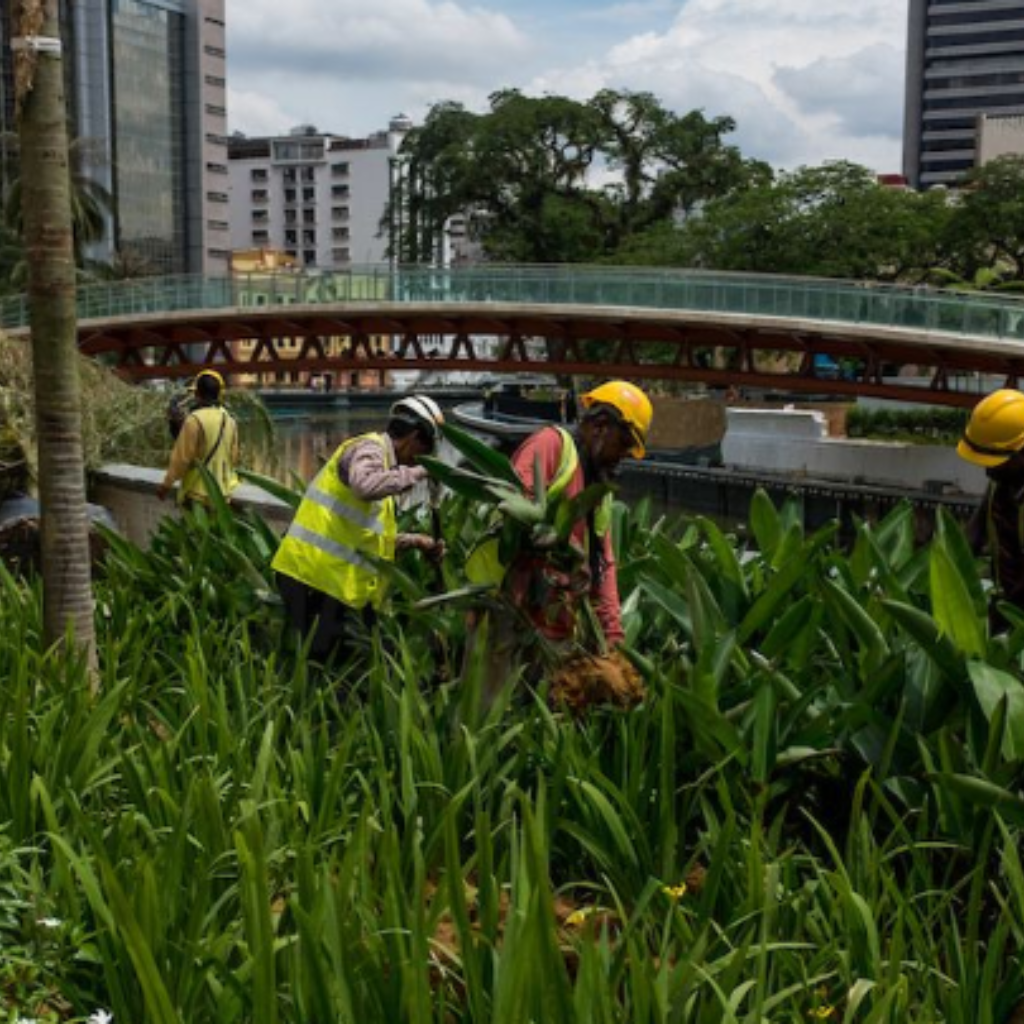 43% Less Rubbish Removed From Sg Klang During MCO By Themalaysianinsight