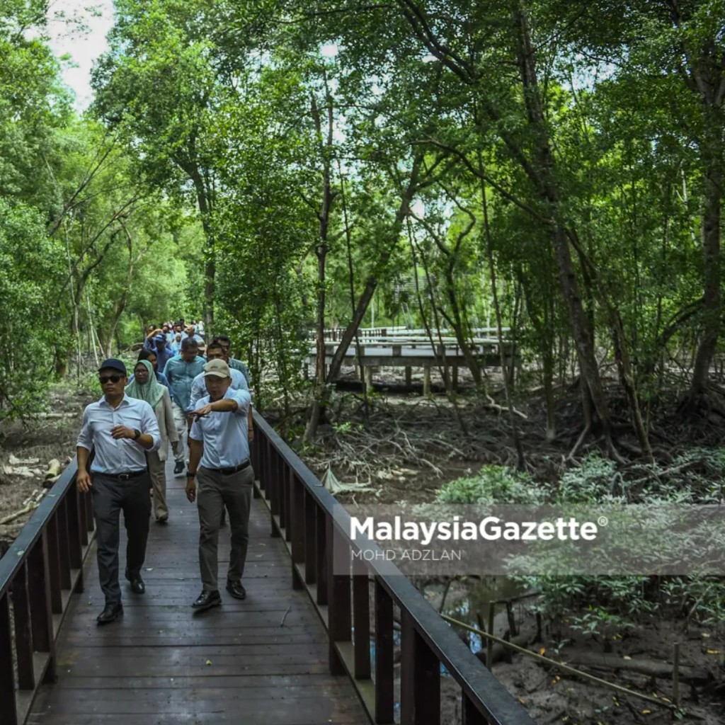 Nik Nazmi Tinjau Taman Rekreasi Mangrove Point